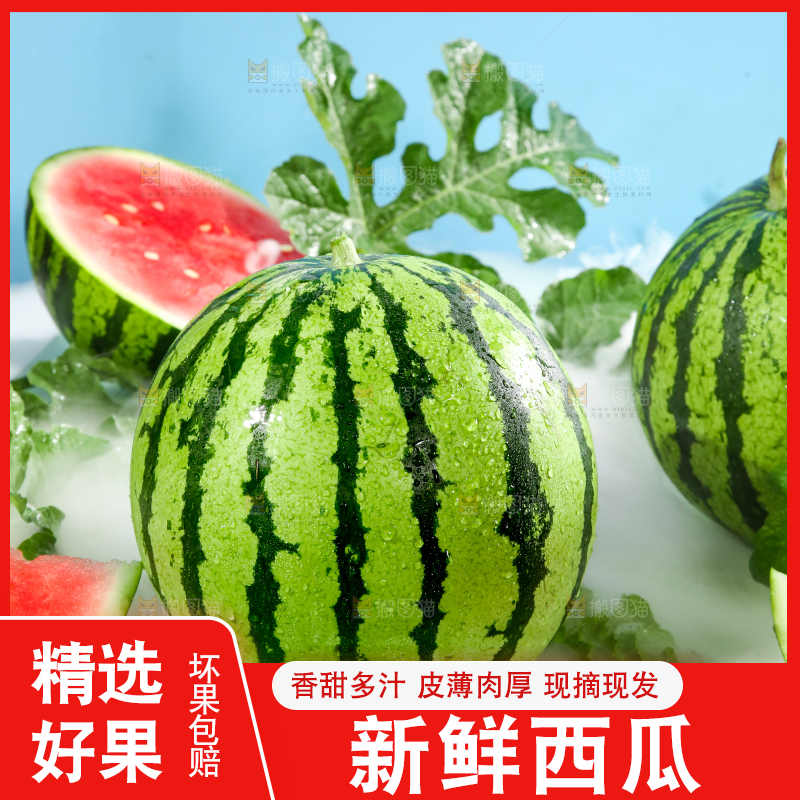 浅底上的放着切开的新鲜红肉西瓜