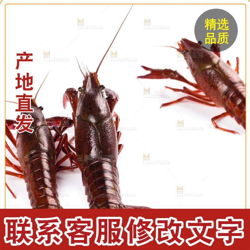 白底上放着潜江小龙虾