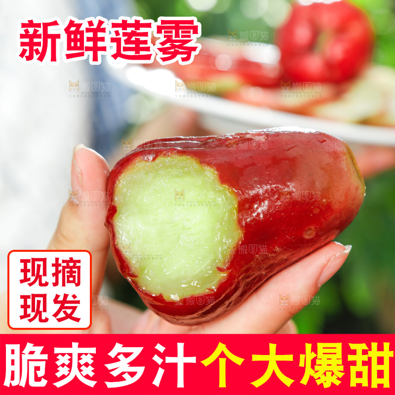 手拿新鲜黑金刚莲雾