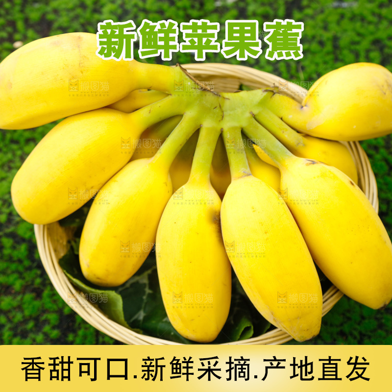 草地上放着一盘海南苹果蕉