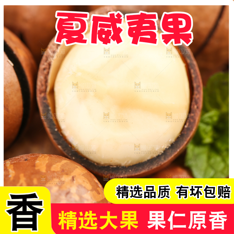 浅底上的夏威夷果