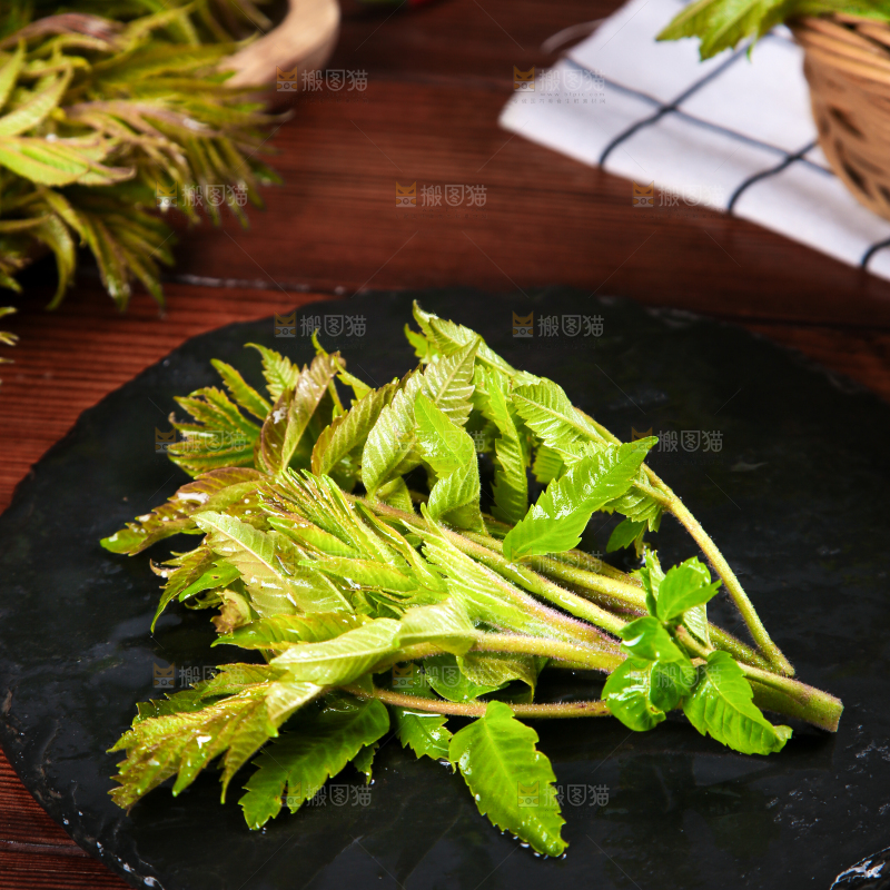 黑石板上的山东香椿芽
