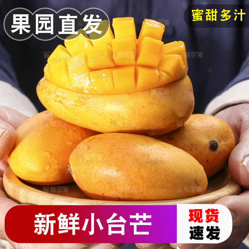 手拿一盘小台芒