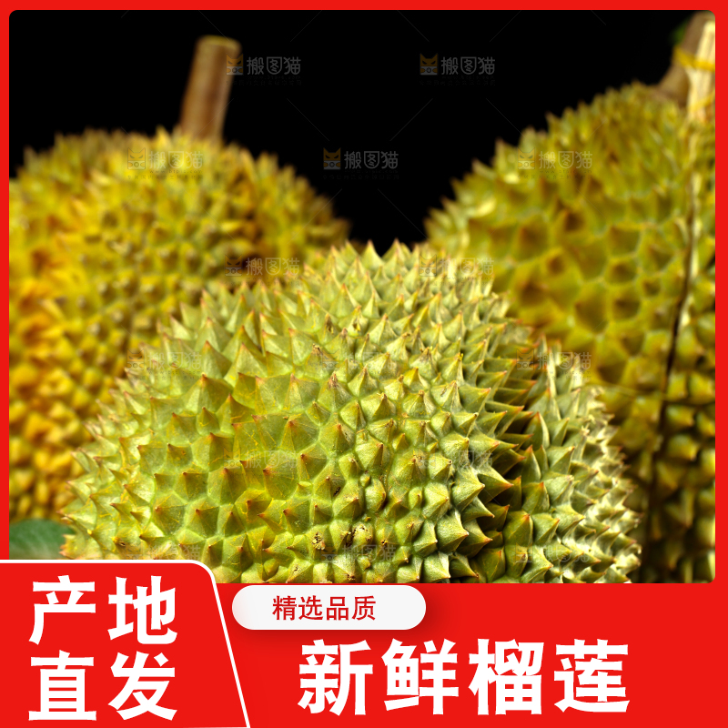 盘子里装着泰国甲仑榴莲
