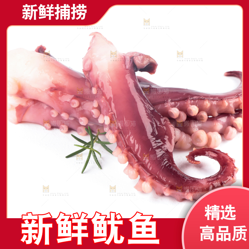 白底上的大鱿鱼