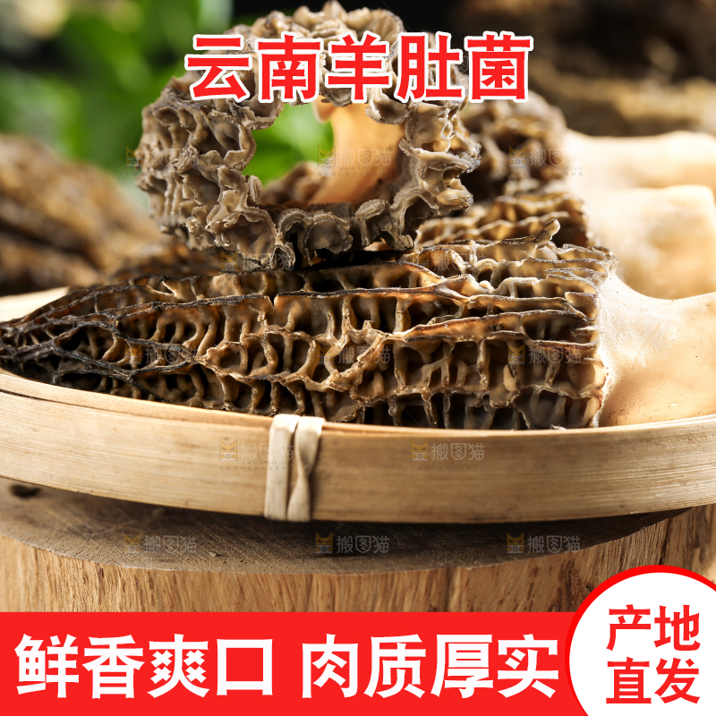 石板上放着一盘羊肚菌