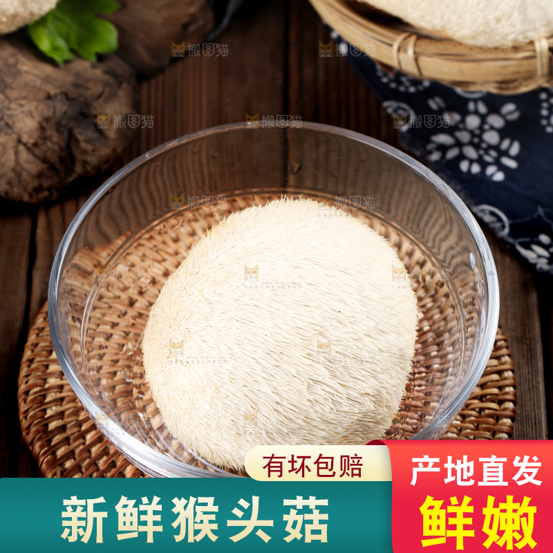 碗里放着东北山猴头菇