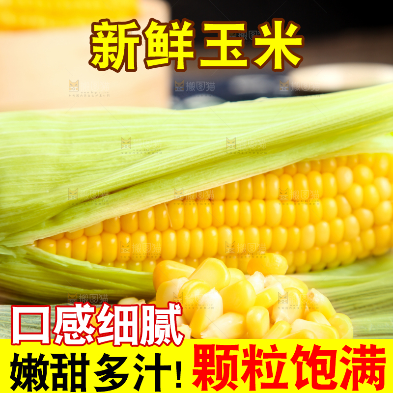 木板上的东北玉米