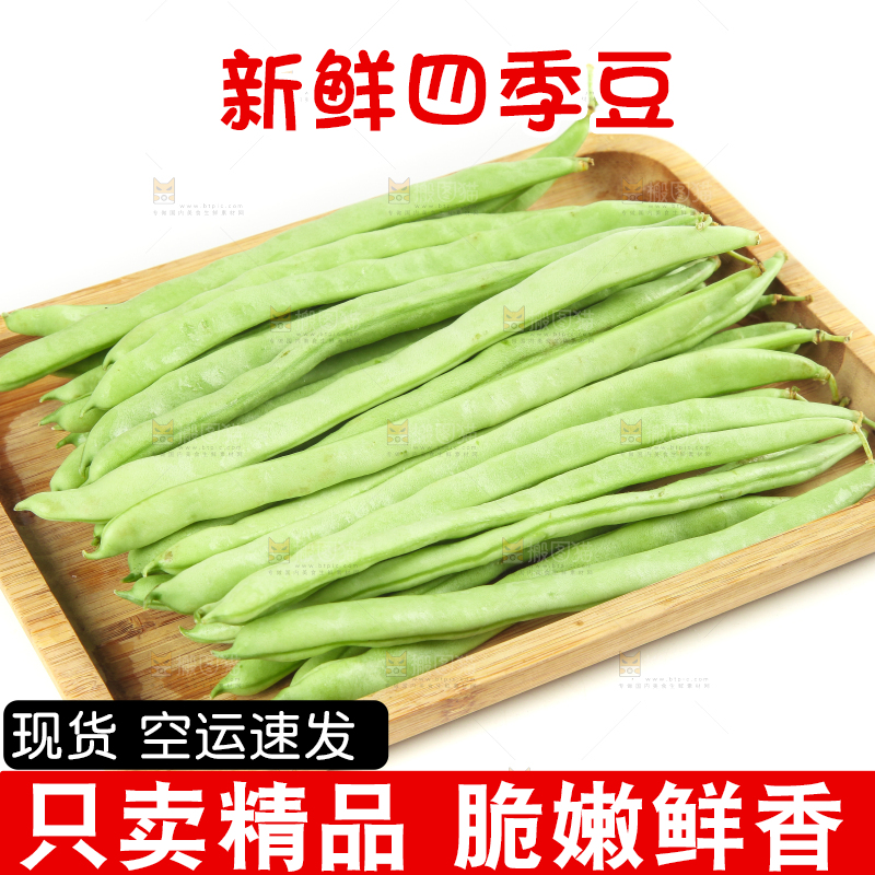 白底上的新鲜四季豆