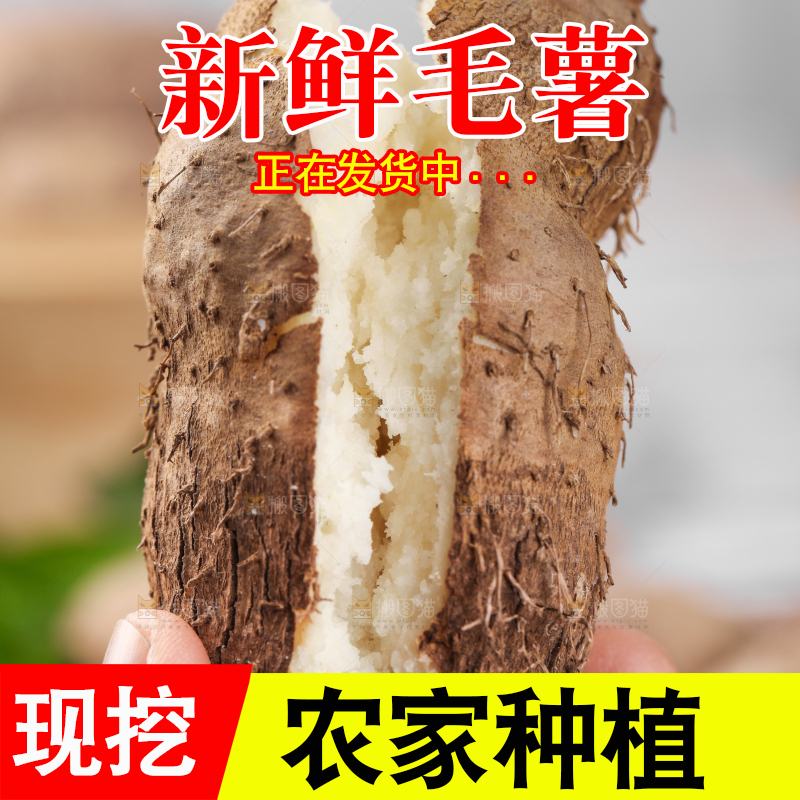 手拿蒸熟的毛薯