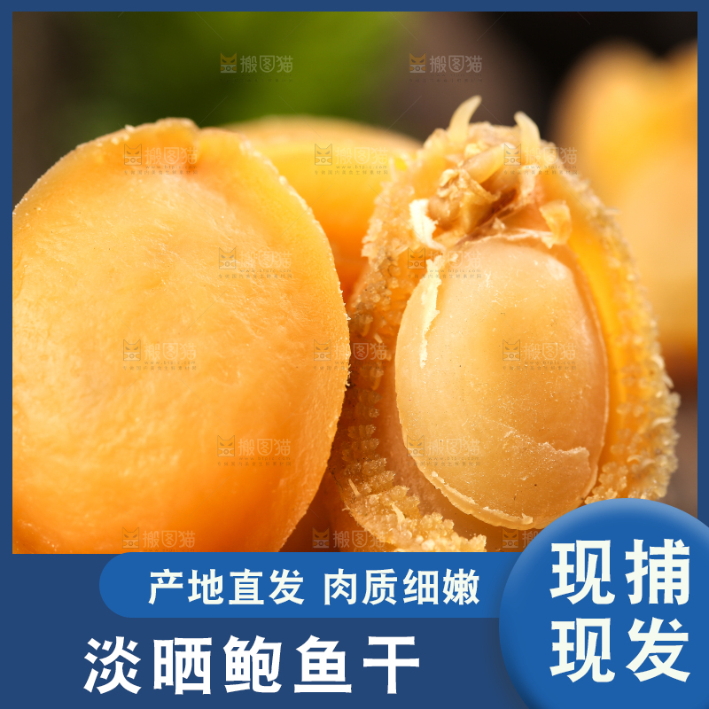 木底上的北海鲍鱼干