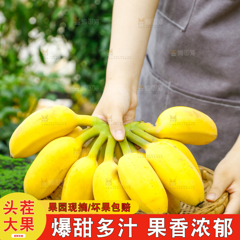 手拿一把苹果粉香蕉