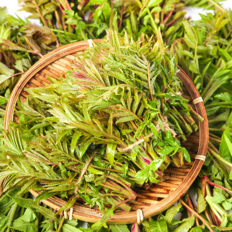 浅底上放着沂蒙山香椿芽