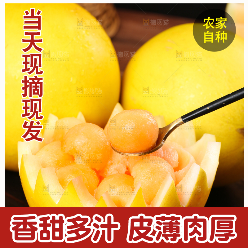 勺子里的哈密瓜果肉