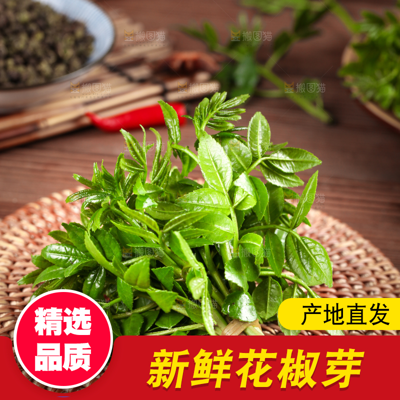 木底上的麻香花椒芽