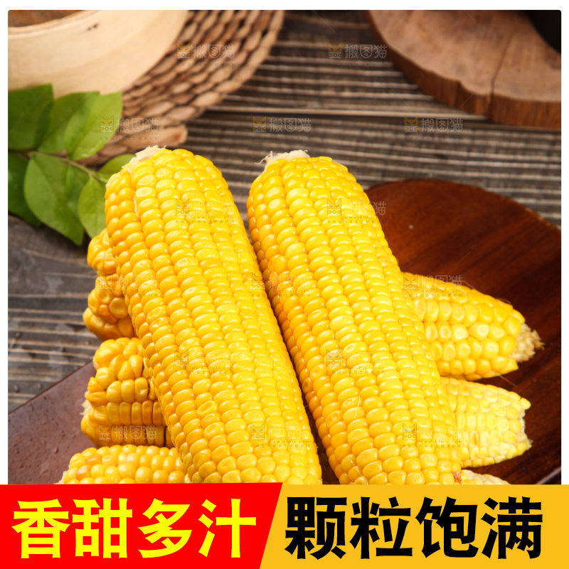 木板上的东北玉米