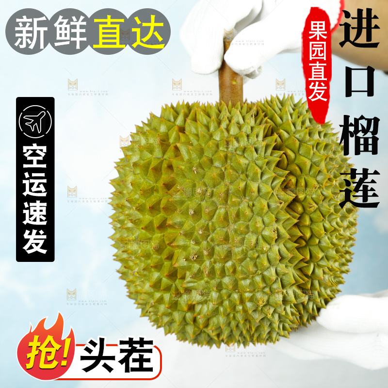 蓝底上的巴掌榴莲