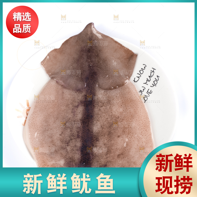 白底上放着大鱿鱼