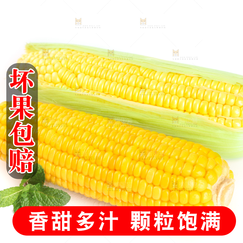 白底上放着黄玉米