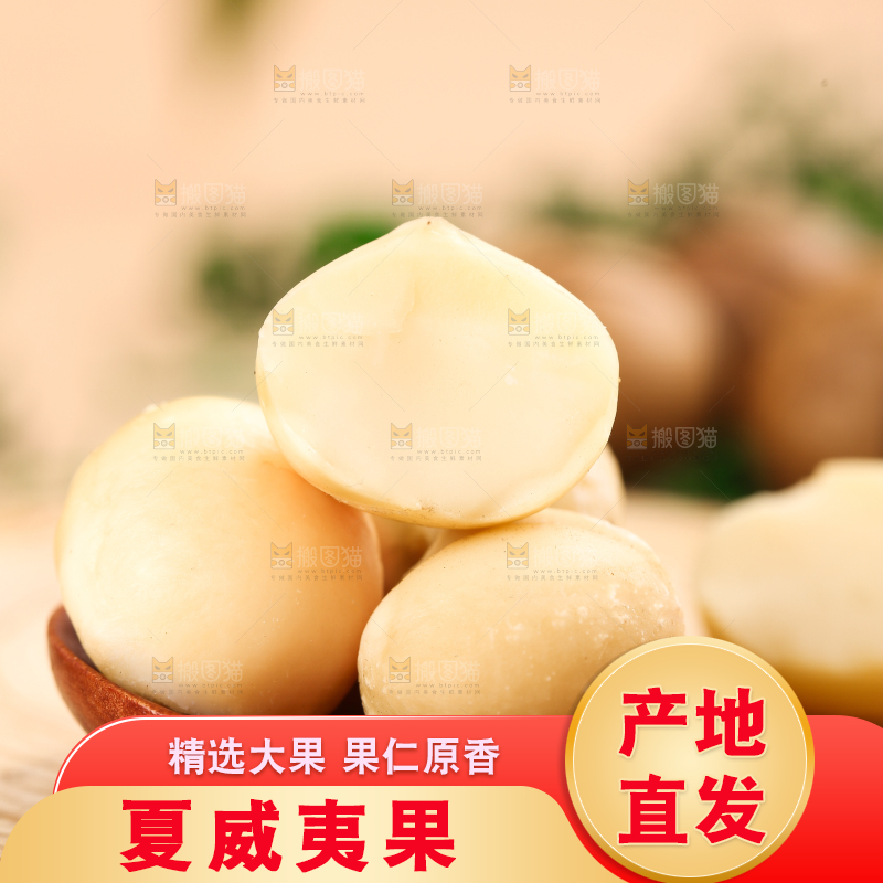 勺子里的夏威夷果果仁