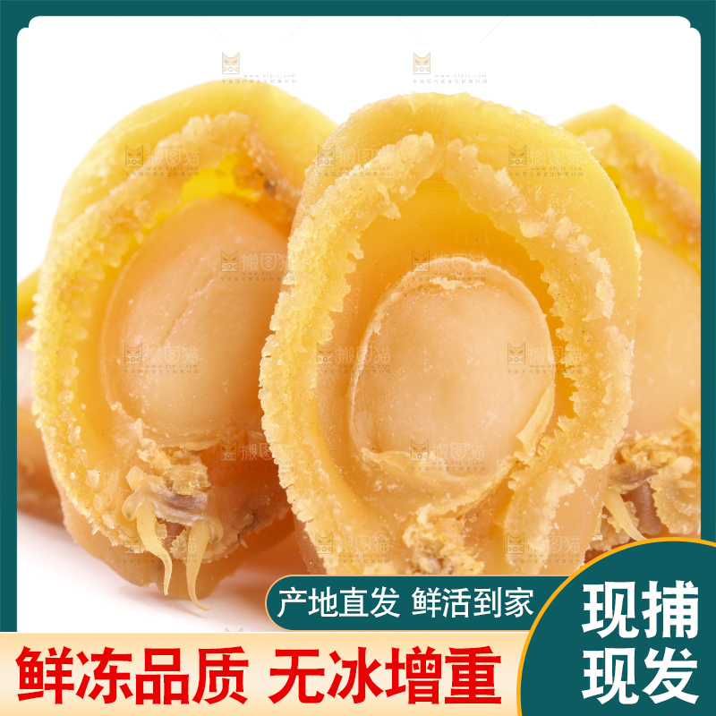 白底上的干鲍鱼