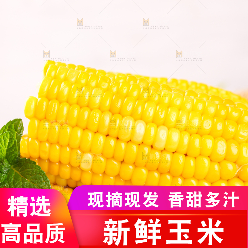 白格子底上放着黄玉米
