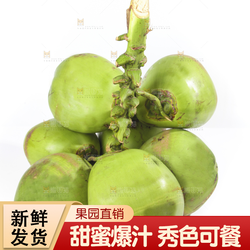白底上的大椰青