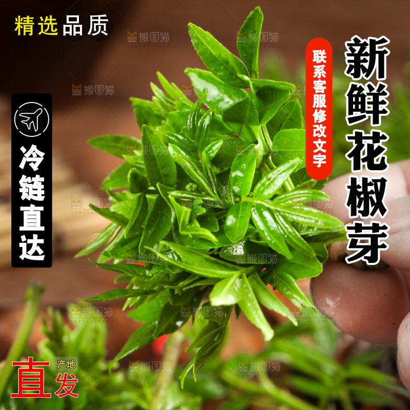 手拿新鲜花椒芽