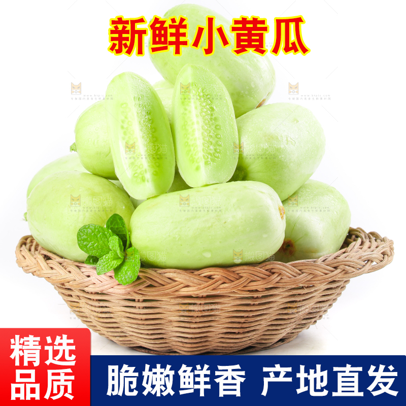 一筐玉女黄瓜放在白底上