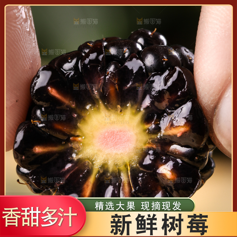 手拿黑树莓