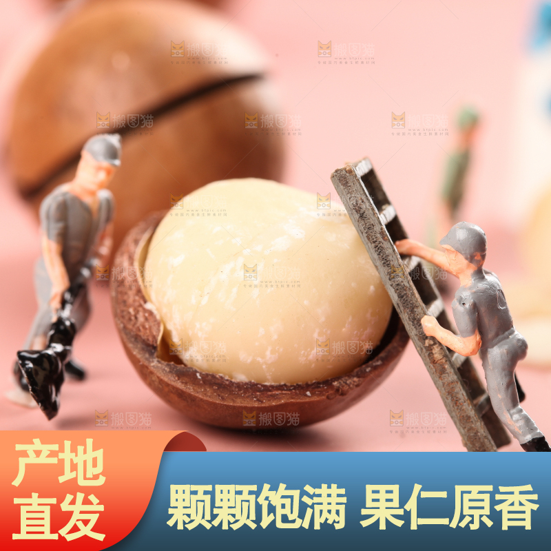 浅底上的夏威夷果