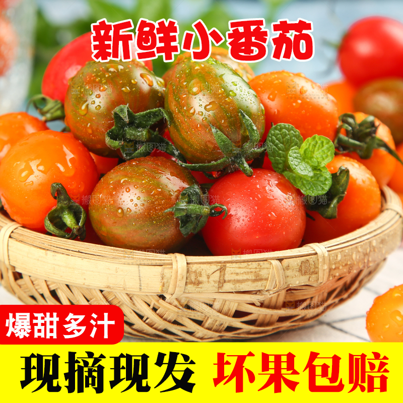 格子布上放着一筐三色圣女果