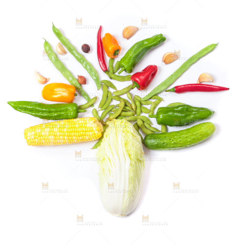 白底上的蔬菜组合