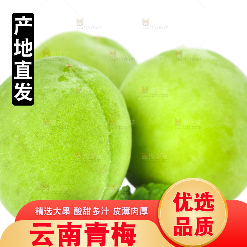 白底上放着大理青梅