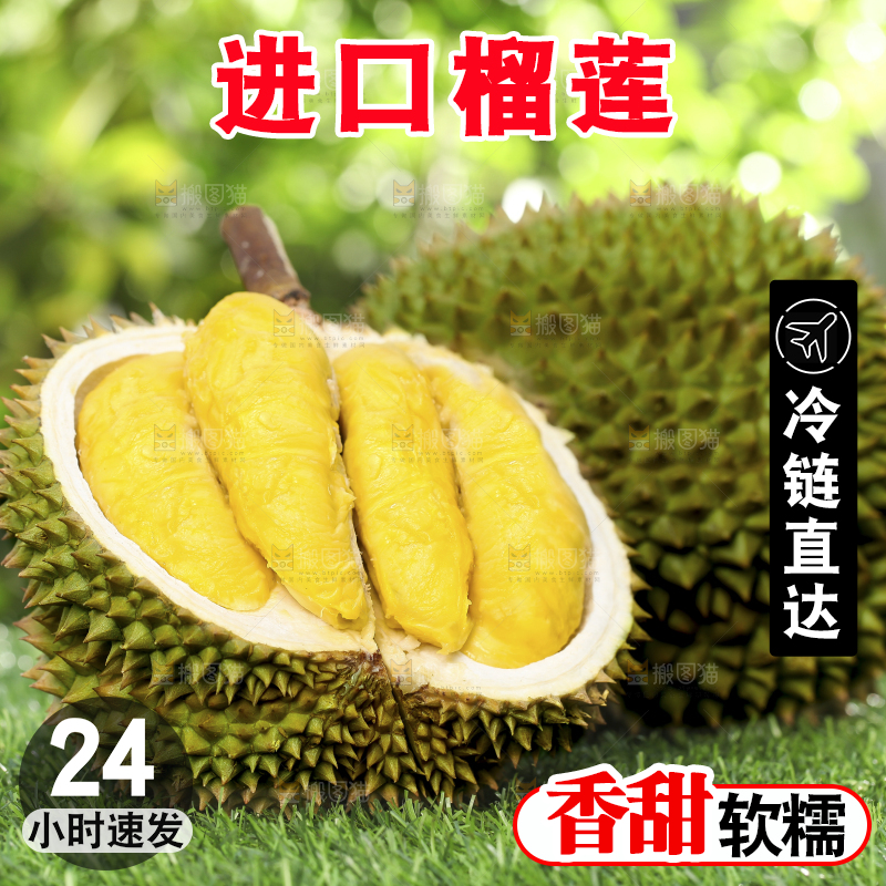 草地上摆放着甲仑榴莲