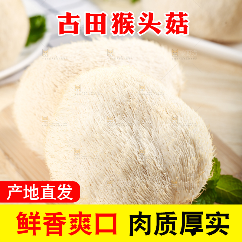 木板上放着长白山猴头菇