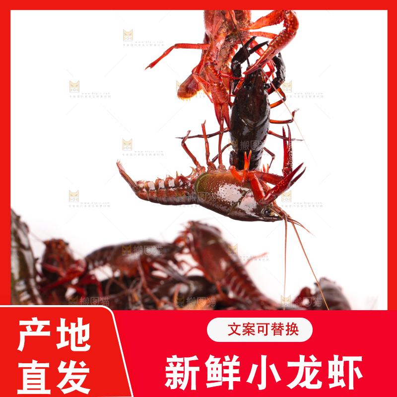 白底上放着潜江小龙虾