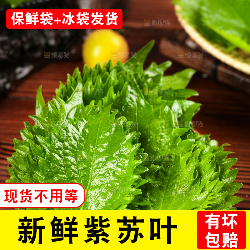 木底上的新鲜紫苏叶