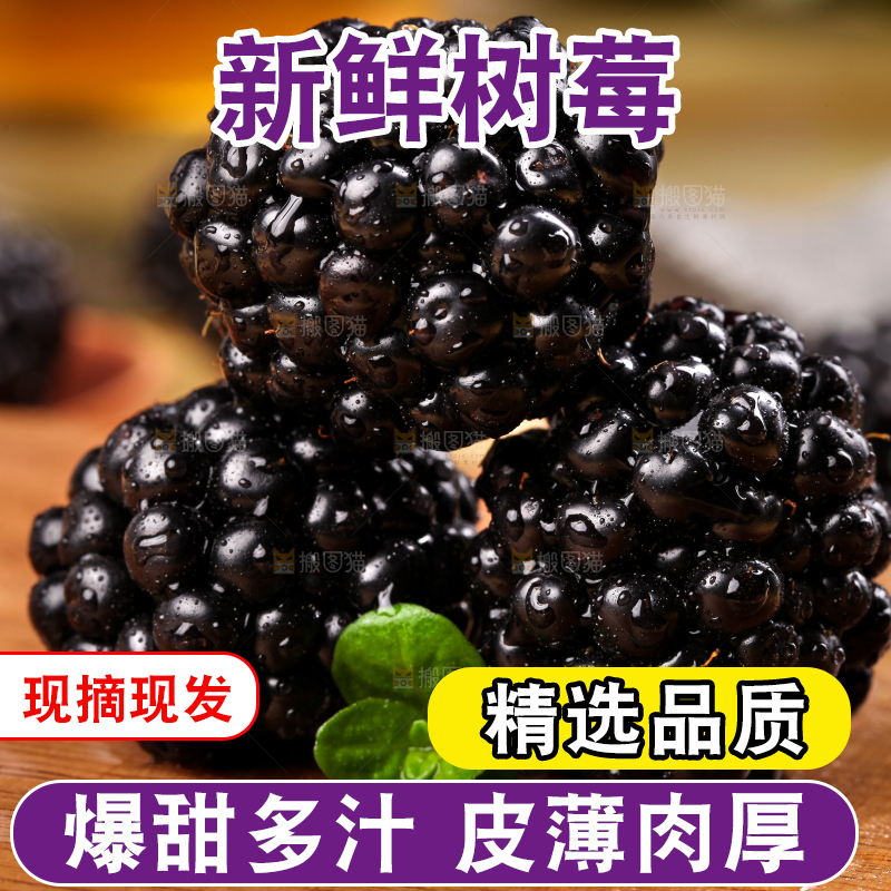 木底上的黑莓