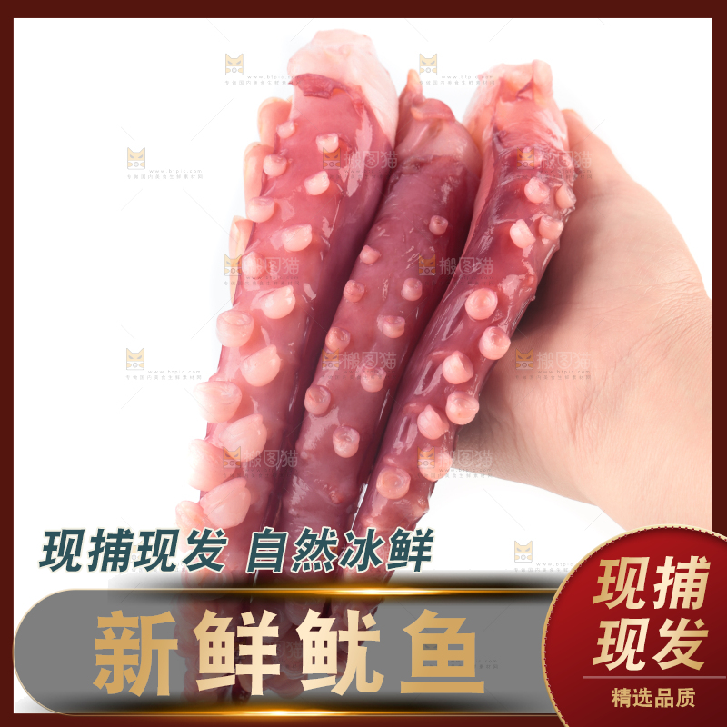 白底上的鱿鱼须