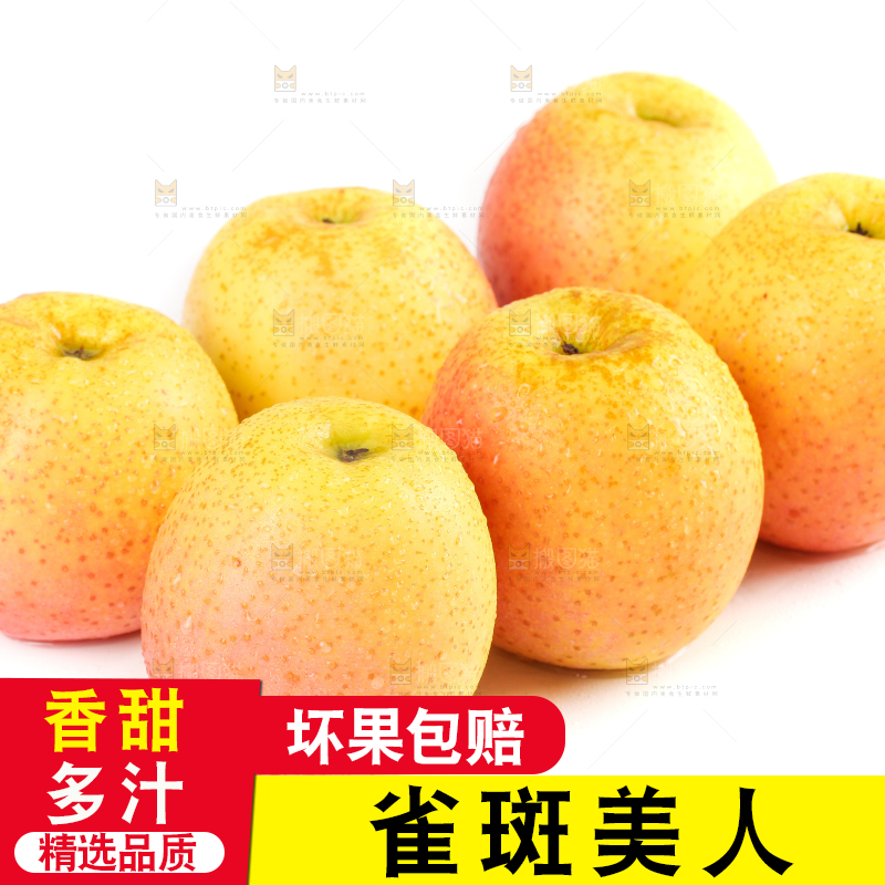 白底上的雀斑美人