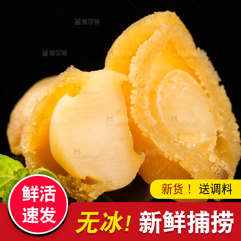干鲍鱼放在黑底上