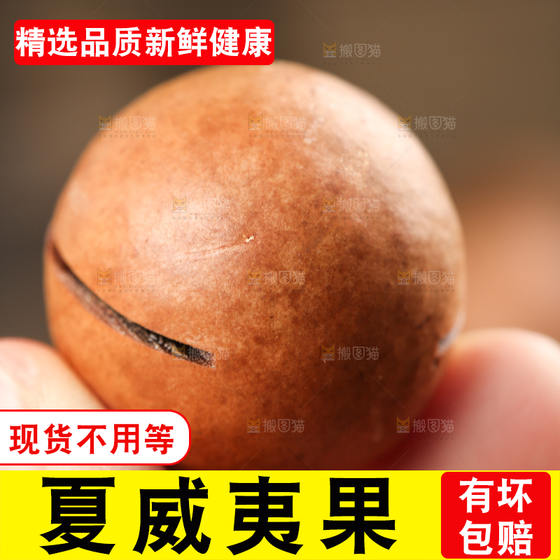 手拿夏威夷果