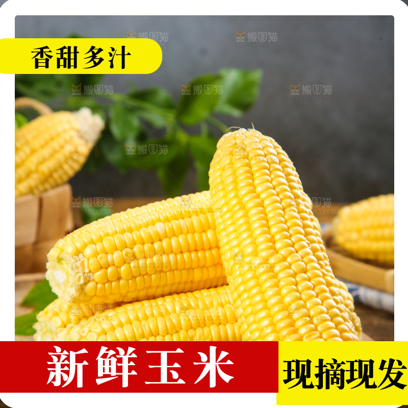 盘子里装着东北玉米