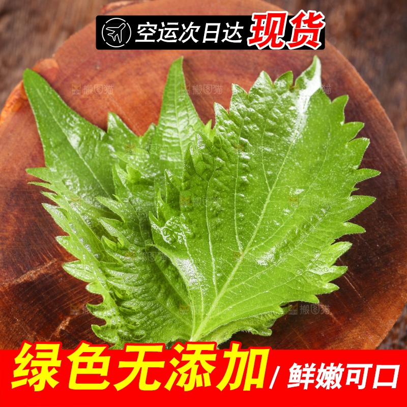 木底上的新鲜紫苏叶