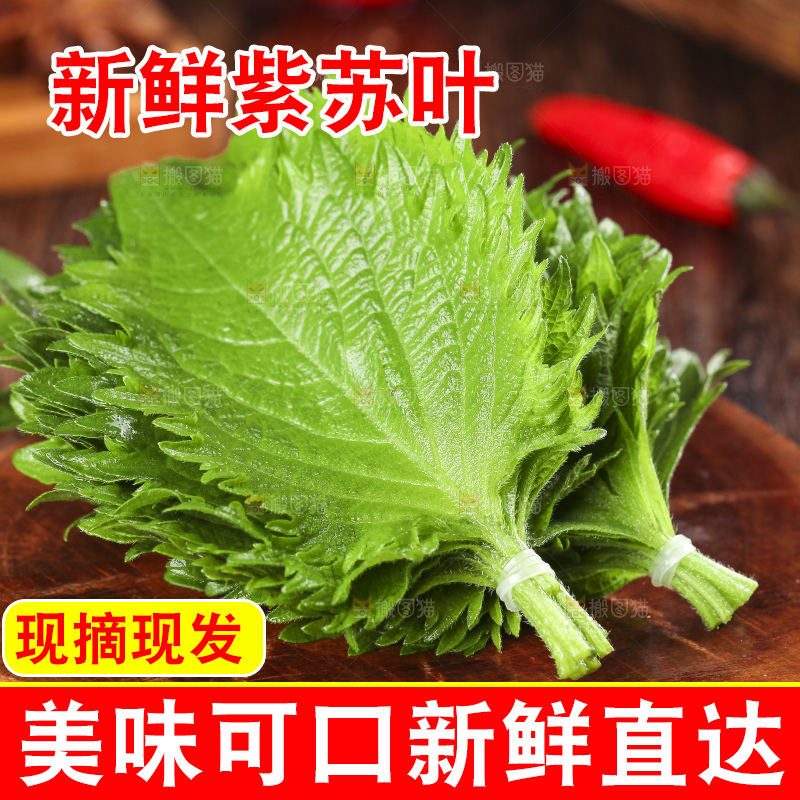 木底上的新鲜紫苏叶