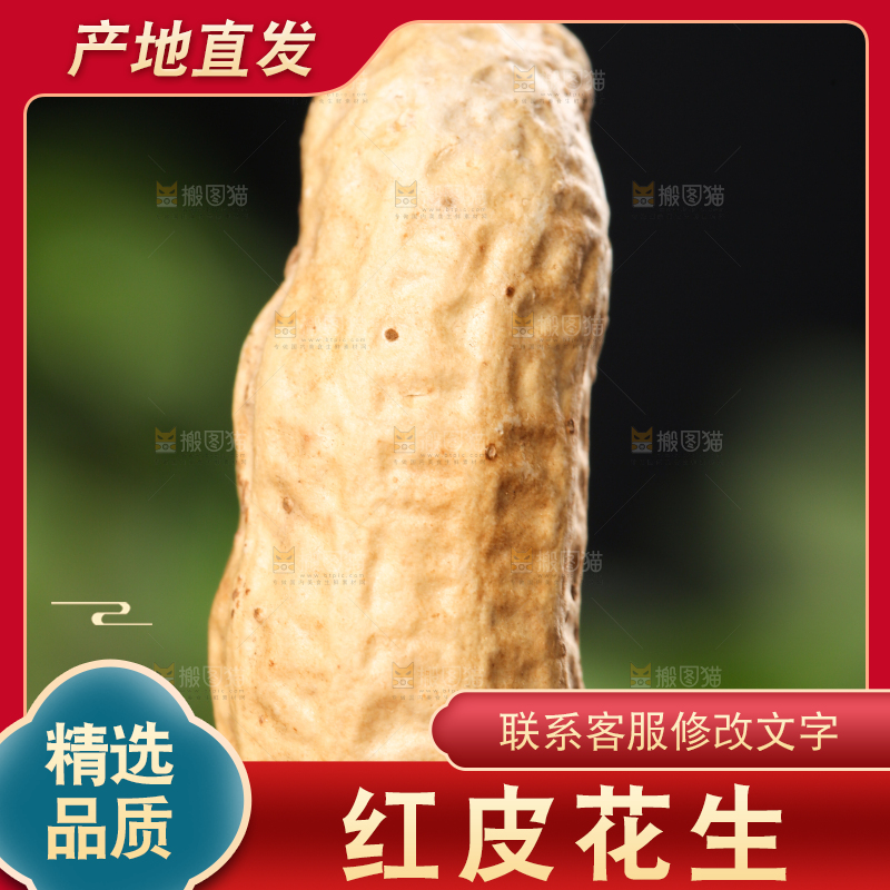 手拿新鲜红皮花生