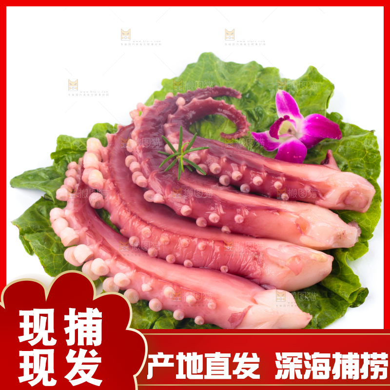 叶子上放着鲜鱿鱼