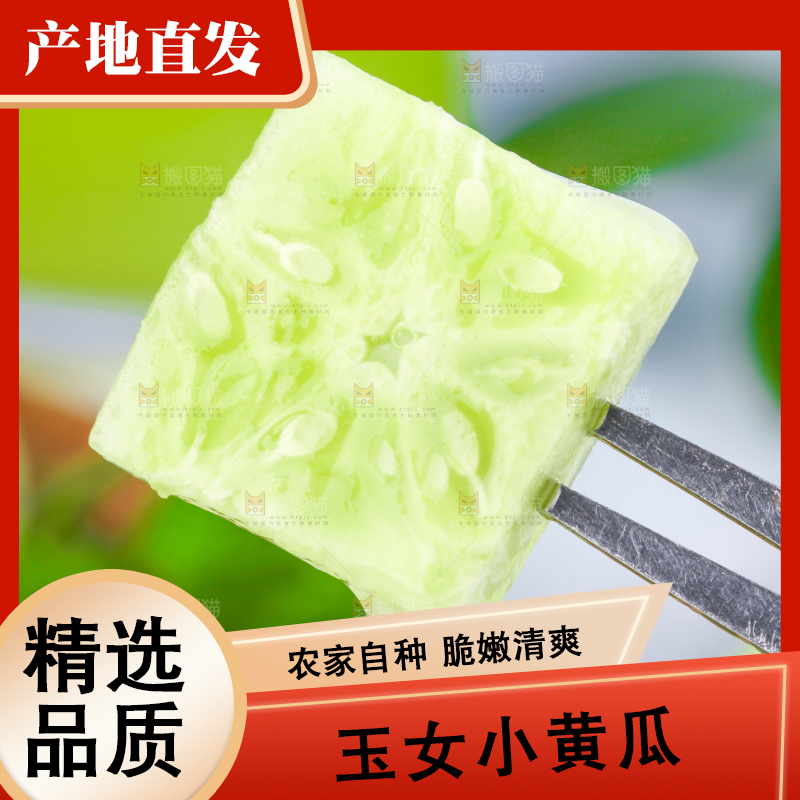 叉子叉着一块金童玉女黄瓜