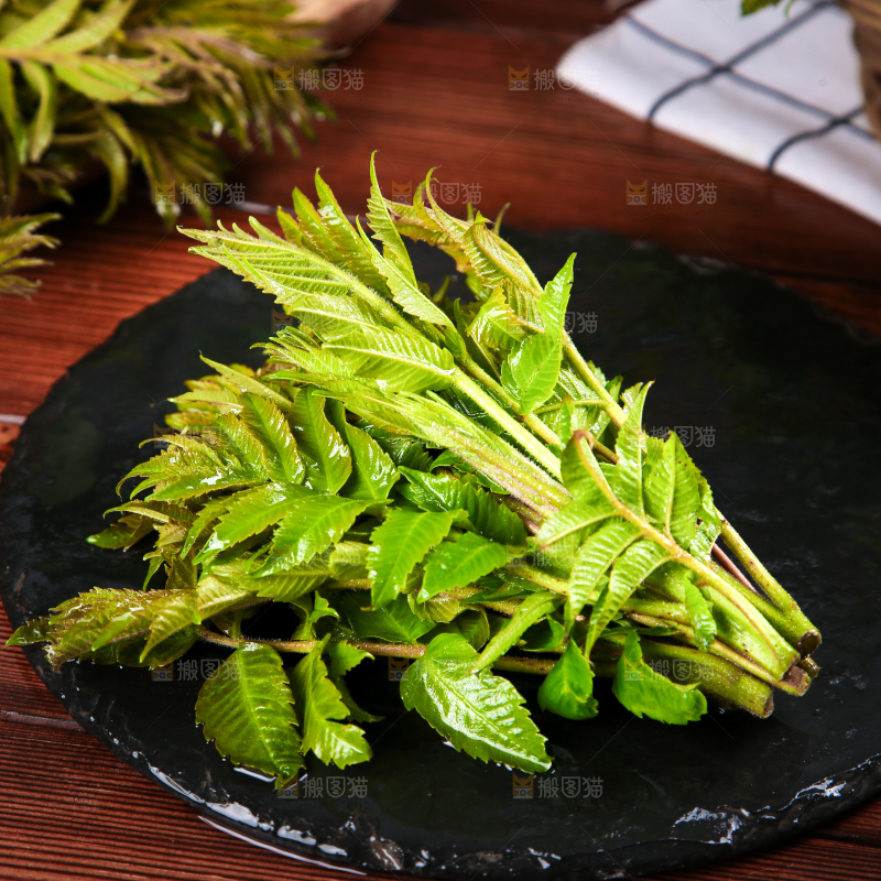 黑石板上的山东香椿芽